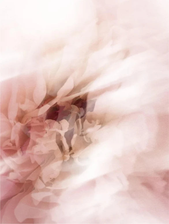 Sun Protection SPF50 Stick - with tint