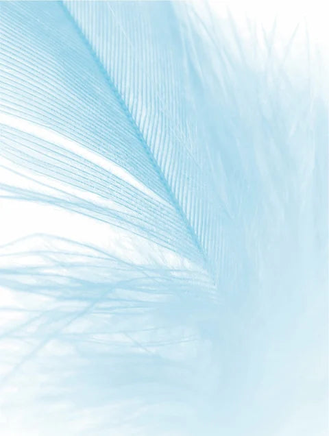 Sensitive Skin Moisturiser, Fragrance Free